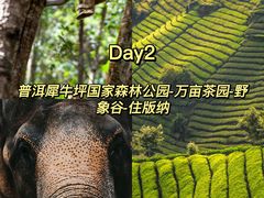 -西双版纳勐泐文化旅游区