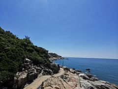 -广东惠东海龟国家级自然保护区