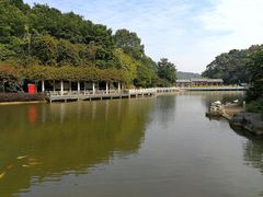-广州市帽峰山景区