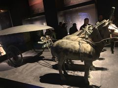 -陕西自然博物馆