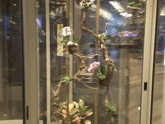 -万丽轩·粤菜(王府井金茂万丽酒店)