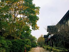 -西溪国家湿地公园