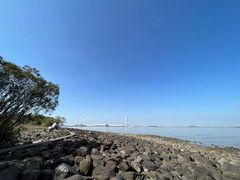 -上海吴淞炮台湾国家湿地公园