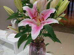 -田园花舍花店(北城未来实体店)