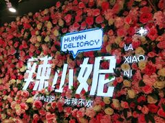 -辣小妮de川菜馆(红旗Mall店)