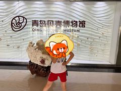 -青岛贝壳博物馆