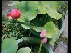 -大妙火锅·非物质文化遗产(东湖公园店)