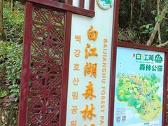 -广州白江湖森林公园