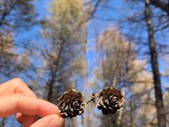 -白草畔自然风景区