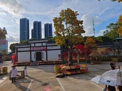 -观澜山水田园