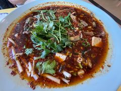 -胖大姐黄辣丁鱼庄(新津店)