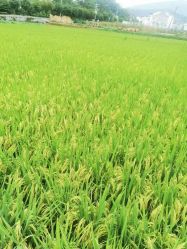 -Oasis Beauty水磨坊科技美肤中心