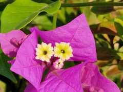 -洋湖国家湿地公园