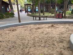 -莲花池公园
