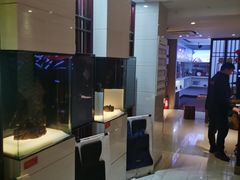 -天猫养车贴膜轻改·蓝电(优匹康桥东路店)