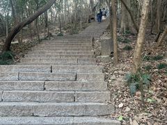 -紫金山山顶公园