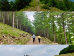-蔚县茶山村