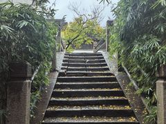 -黎里古镇