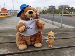 -Pakkhús Restaurant