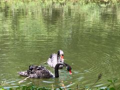 -长白岛森林公园