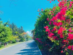 -三亚西岛海洋文化旅游区