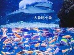 -南昌海洋公园