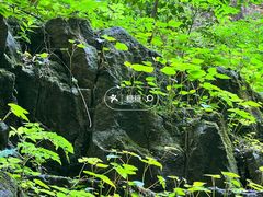 -野三坡百里峡景区