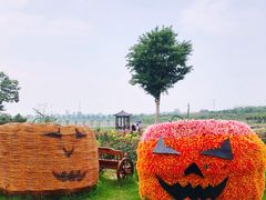 -武汉紫薇都市田园