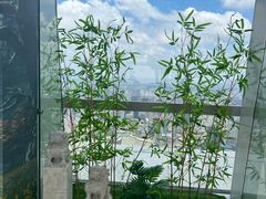 -上海环球金融中心骑迹50年环球之旅