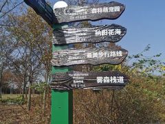-江苏三台山国家森林公园