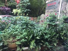 -国生茶庄·地道农家菜团建活动