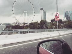 -新加坡乌节希尔顿酒店 (SG Clean)