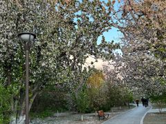 -元大都城垣遗址公园