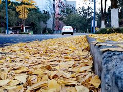-西南政法大学(渝北校区)