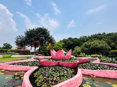 -广州莲花山旅游区