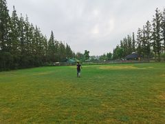 -前小桔亲子创意农场·草莓采摘·露营烧烤