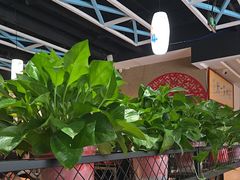 -小城外婆肴私房菜.家宴聚集点(圆明园颐和园·清河上地店)