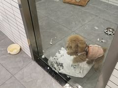 -阳澄湖费尔蒙酒店