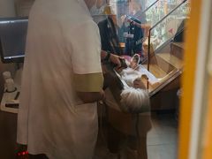 -联合动物医院(光谷诊疗中心)