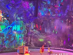 -广州长隆国际大马戏