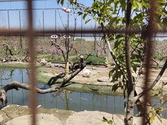 -河北村民俗体验园