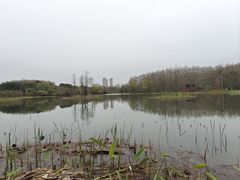 -昆山城市生态森林公园