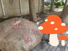 -和平区健康主题公园