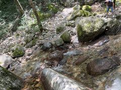 -牛背梁国家森林公园