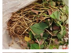 -五里多农博广场