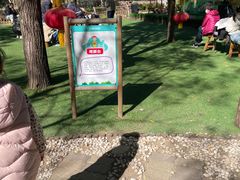 -朝阳公园游乐园