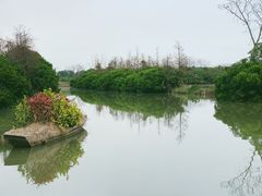 -大湾区中央湿地公园
