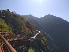 -少华山国家森林公园