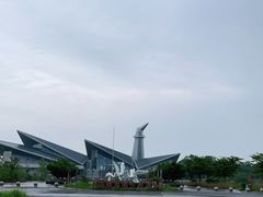 -盐城丹顶鹤湿地生态旅游区
