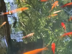 -新竹里馆·花园餐厅(兴苑路店)